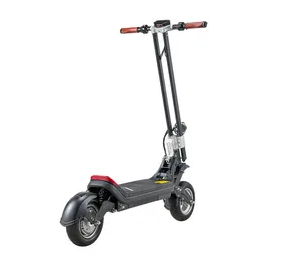 Зимний электроснегокат на гусенице / Гусеничный электросамокат Electroway T2S + летний комплект