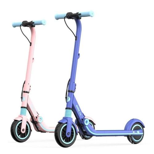 Ninebot eKickScooter Zing E8