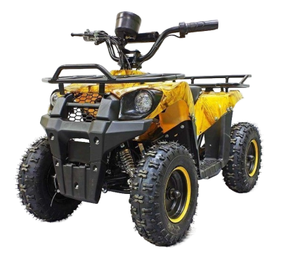 Квадроцикл GreenCamel Gobi K45 (30Ah 36V 800W R6 Цепь) быстросъем, ножной тормоз, золотая осень