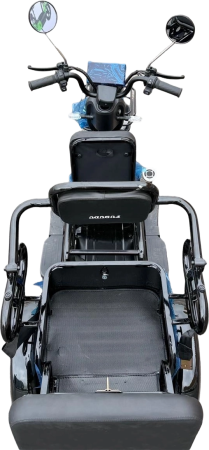Пассажирский электротрицикл Fududu Q3 60V30Ah