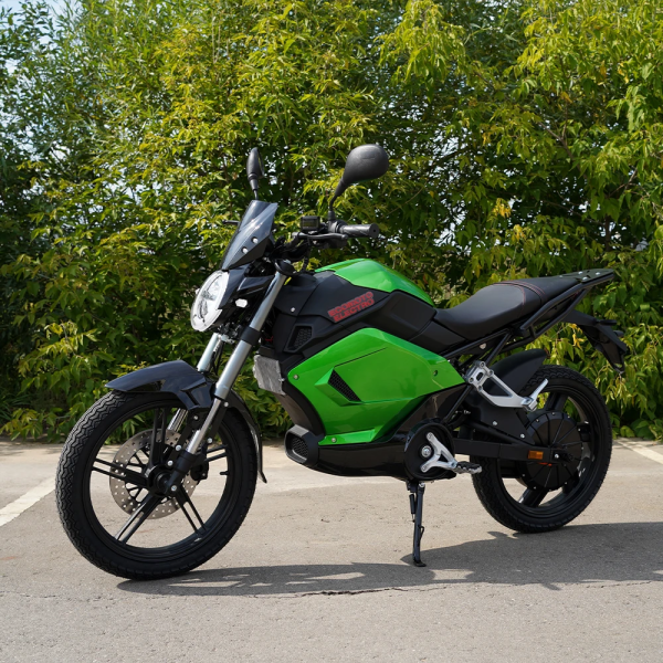 Электромотоцикл ECO RAY RTM E21