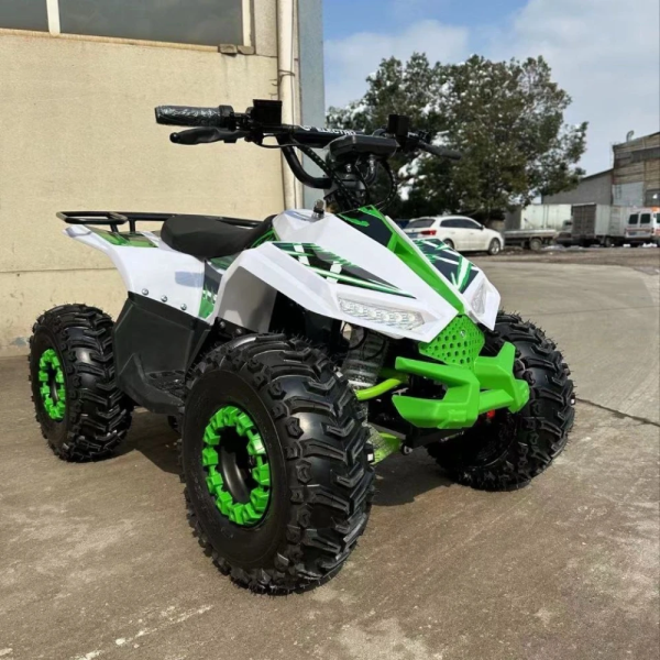 Электроквадроцикл ECO Lizard 48V32AH