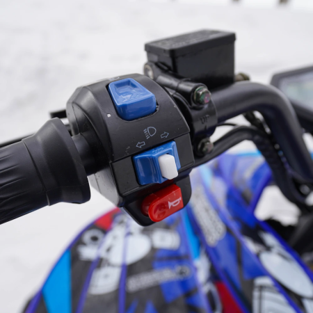 Электроквадроцикл ECO SUFA 72V100AH