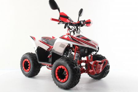 Подростковый квадроцикл Motax Mikro 110 NEW Красный